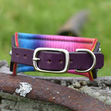 Rainbow Mini Rio Limited Edition Collar