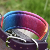 Rainbow Mini Rio Limited Edition Collar