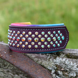 Rainbow Mini Rio Limited Edition Collar