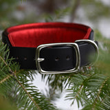 Mini Rio, 2" Wide Custom Leather Dog Collar