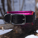 MoTH, 1.75" wide Black Leather Dog Collar, size 14"-17"