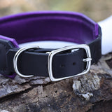 MoTH, 1.75" wide Black Leather Dog Collar, size 16"-19"