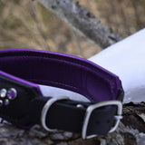 MoTH, 1.75" wide Black Leather Dog Collar, size 16"-19"