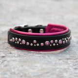 Nessie, 1.25" wide Black Leather Dog Collar