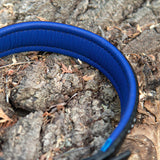 Nessie, 1.25" wide Blue Crystals on Black Leather
