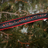 Nessie, 1.25" wide Black Leather Dog Collar, size 12"-15"