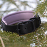 Paisley, 1.5" wide Black Leather Dog Collar, size 14"-17"