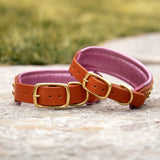 Paisley, 1.5" Wide Padded Leather Dog Collar