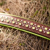 Paisley, 1.5" Wide Medium Brown Leather Dog Collar, size 12"-15"