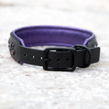 Paisley, 1.5" Wide Padded Leather Dog Collar