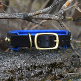 Pulsar, 1.25" Wide Custom Leather Dog Collar