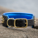A black leather dog collar with a vibrant blue interior lining and brass hardware, resting on a textured stone surface with a blurred natural background.