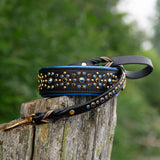 A black leather dog collar with blue trim and blue crystals in brass hardware,  and matching leash, displayed on a weathered wooden post with a blurred green outdoor background.