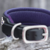 Purple Rain, 1.5" Wide Size 12-15"