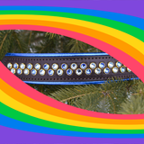 Rainbow Risa Limited Edition Collar