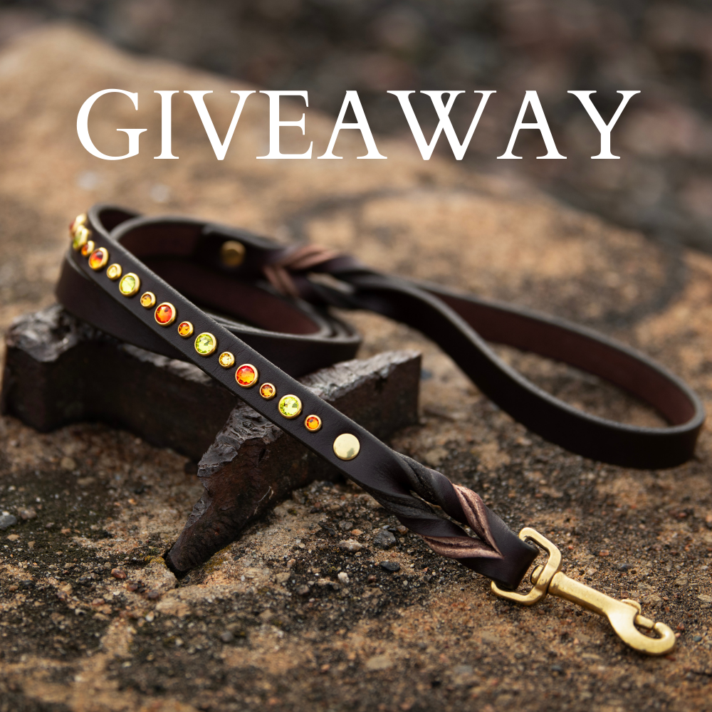 Design Leashes Win a Handcrafted Leather Dog Leash | Fusion By Design Collars