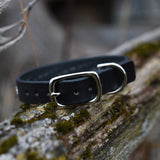 Ridge, 3/4" wide Black Leather Dog Collar, size 12"-15"