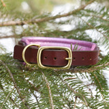 Ridge, 1.25" wide Brown Leather Dog Collar, size 12"-15"