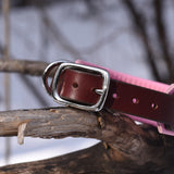 Ridge, 1.25" wide Brown Leather Dog Collar, size 10"-13"