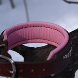 Ridge, 1.25" wide Brown Leather Dog Collar, size 10"-13"