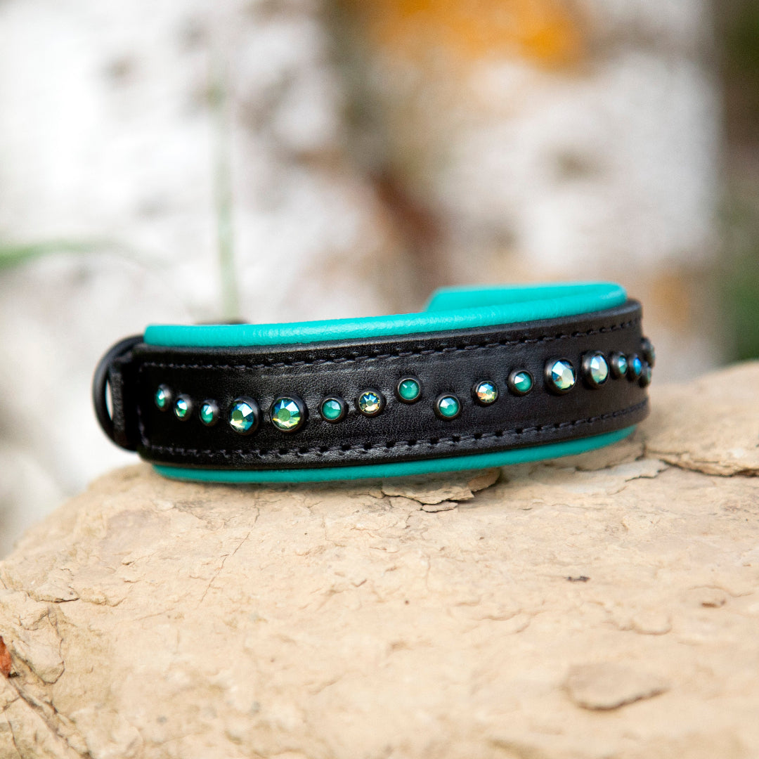 Black leather dog collar with teal green accents on a rock
