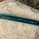 Black and turquoise dog collar on a rock with natural background