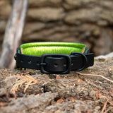Silas Leather Dog Collar, 1.25" wide Iridescent Green on Black Leather