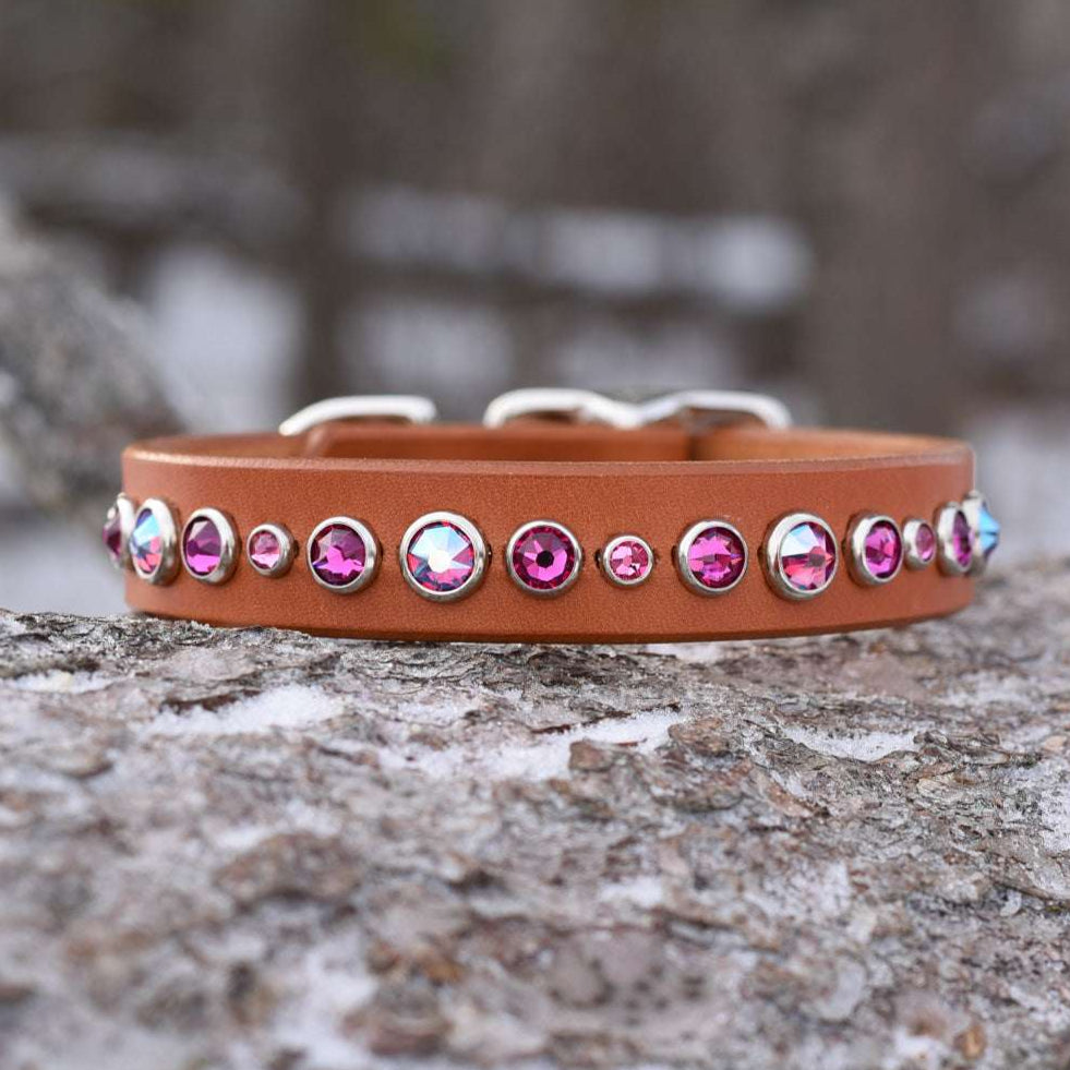 Siri, 3/4" wide, various sizes Dog Collar