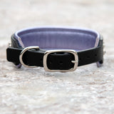 Starlight, 1.5" Wide Lilac and Black Leather Dog Collar