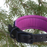 Starlight, 1.5" wide Black Leather Dog Collar, size 10"-13"