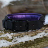 Starlight 1.5" Wide Black Leather Dog Collar, size 16"-19"