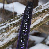 Starlight 1.5" Wide Black Leather Dog Collar, size 16"-19"