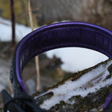 Starlight 1.5" Wide Black Leather Dog Collar, size 16"-19"