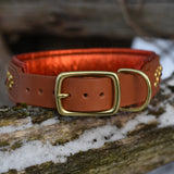 Starlight 1.5" Wide Cheddar Leather Dog Collar, size 16"-19"