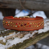 Starlight 1.5" Wide Cheddar Leather Dog Collar, size 16"-19"