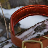 Starlight 1.5" Wide Cheddar Leather Dog Collar, size 16"-19"