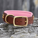 Starlight 1.5" wide Medium Brown Leather Dog Collar
