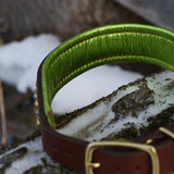 Starlight 1.5" Wide medium Brown Leather Dog Collar, size 16"-19"