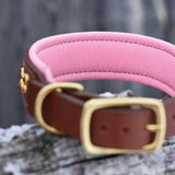 Starlight 1.5" wide Medium Brown Leather Dog Collar