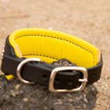 Starlight Leather Dog Collar, 1.5" wide Yellows on Black Leather