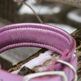 The Sweetheart, 1.5" wide Limited Edition Collar
