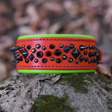 The Omen | Limited Edition Padded Leather Dog Collar
