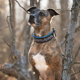 Starlight, 1.5" Wide Custom Leather Dog Collar