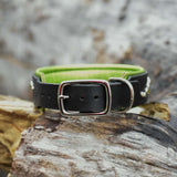 Wave, 1.5" wide, size 16" - 19" Dog Collar