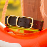 Wave Leather Dog Collar, 1.5" wide Greens on Chocolate Leather, size 14"-17"