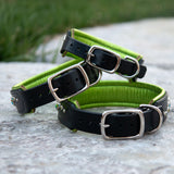 Wave, 1.5" wide Citrus & Black Leather Dog Collar