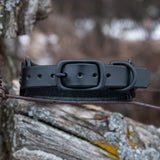 Allure, 1.5" wide Black Leather Dog Collar, size 12"-15"