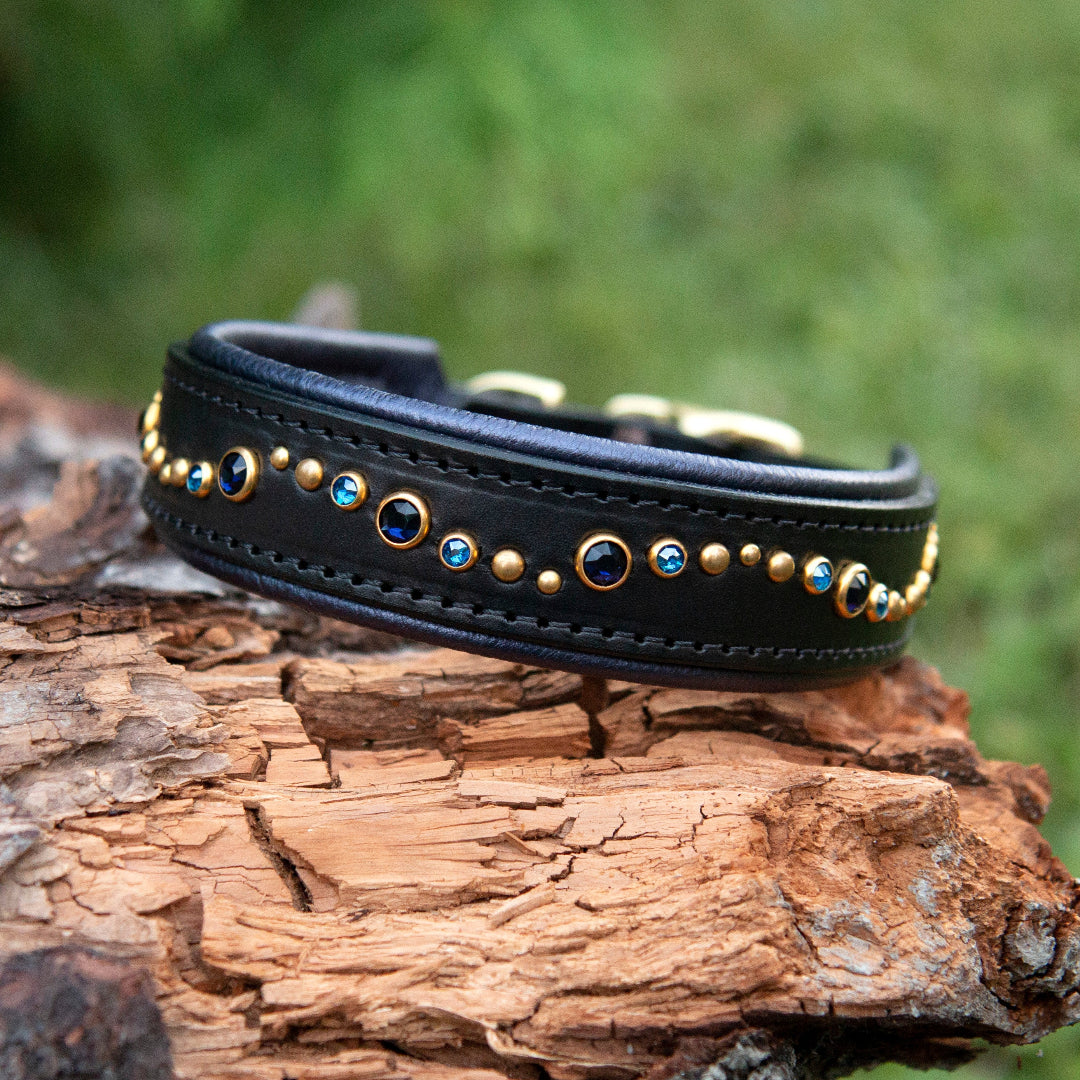 Black Leather Dog Collar with navy blue crystals on a tree log