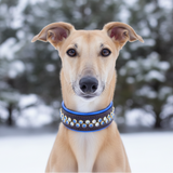 Risa, 1.5" Wide Custom Leather Dog Collar