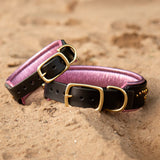 Two black leather and pink padding dog collars on a beach